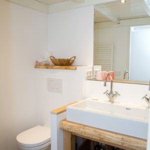 beachhouse-soute-accommodatie-badkamer-wastafel-toilet